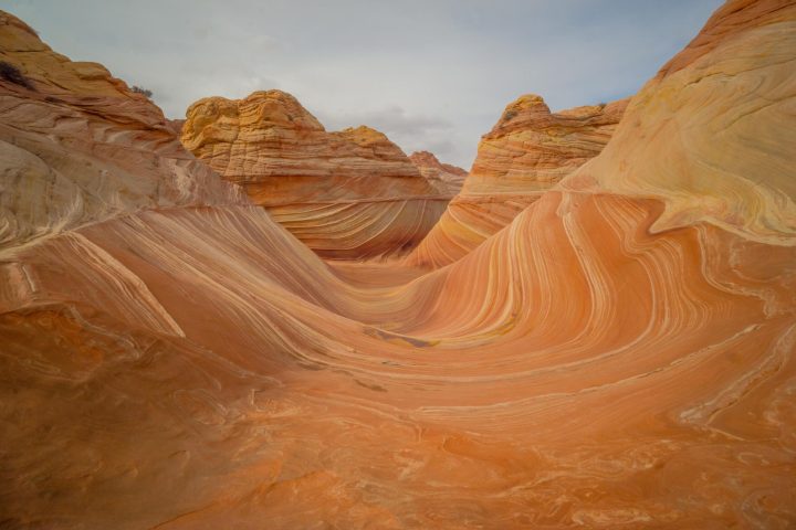 a canyon with Vermilion Cliffs National Monument in the background