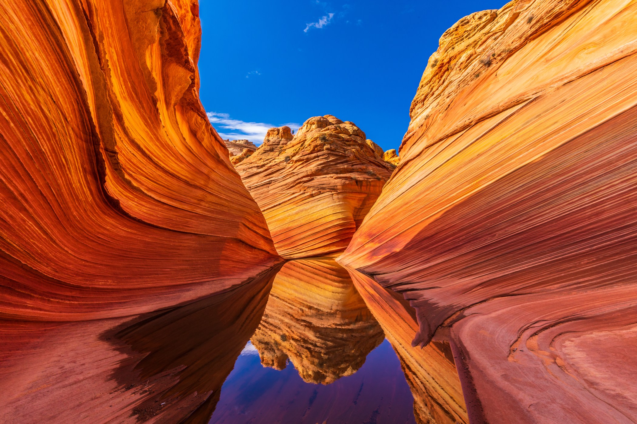 AdobeStock_241359839.jpeg?w=