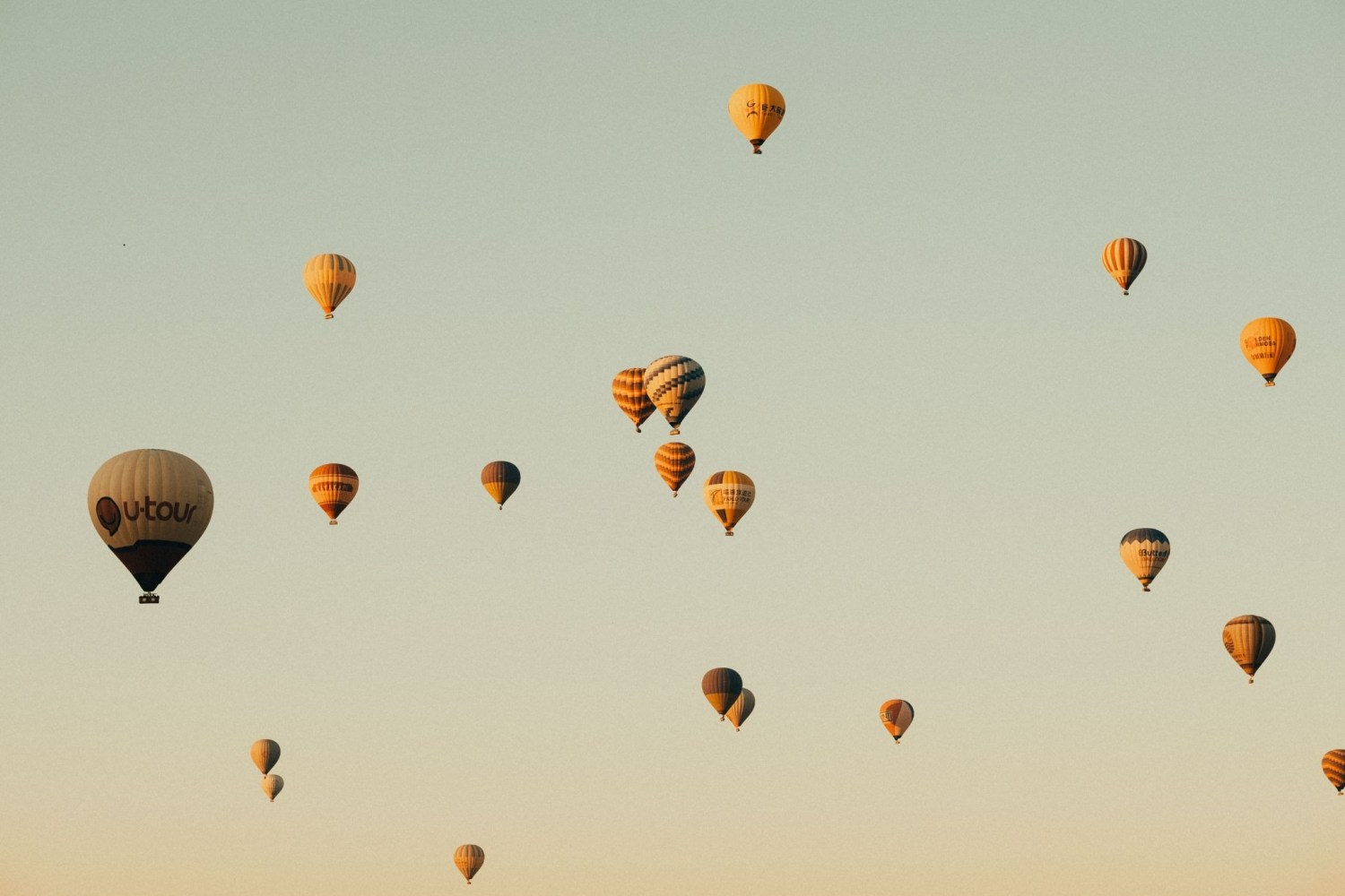 Numerous hot air balloons floating in a clear sky at sunset.