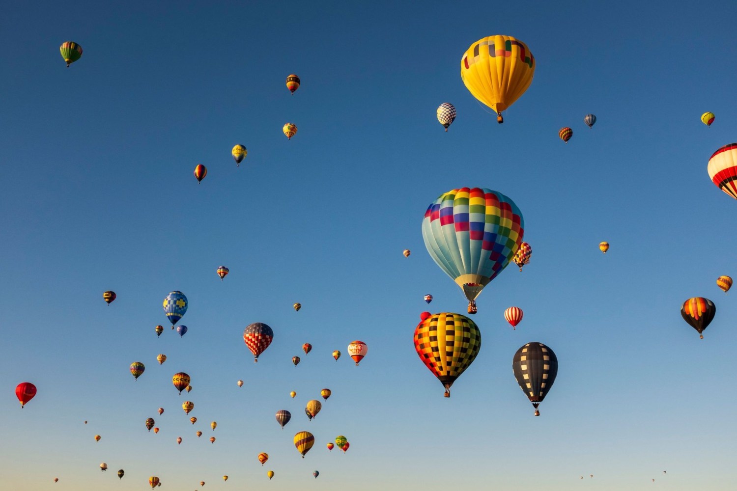 Colorful hot air balloons ascending into a clear blue sky.